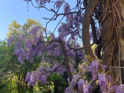 Orto Botanico Universita&#039; di Genova